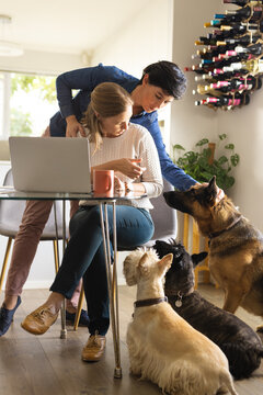 Caucasian lesbian couple petting german shepherd and scottish terriers while working on laptop