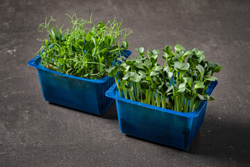 A microgreen is a young vegetable green.