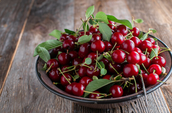 Bowl with fresh picked sour cherries