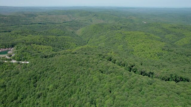 longoz forests in Igneada, Kirklareli, Turkey