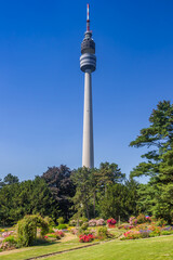 Rose garden in front of the television tower in the Westfalen park of Dortmund, Germany - obrazy, fototapety, plakaty