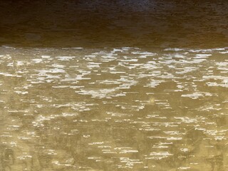 A greenish yellow surface with white spots