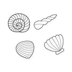 Collection of shells vector icons. Pearl shell illustrstions isolated on white background.