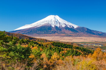 Fototapeta na wymiar 二十曲峠から眺める富士山と紅葉　山梨県南都留郡忍野村にて