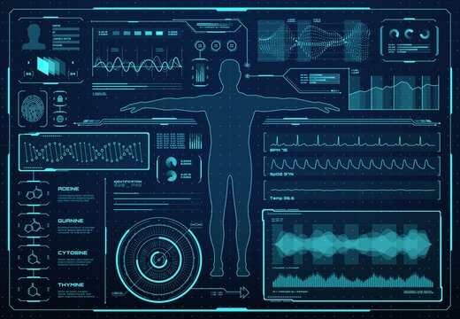 HUD interface, health care and medicine graphs, charts and infographics, vector futuristic medical technology, HUD interface with human body hologram, medical diagnostics and future biomedicine screen