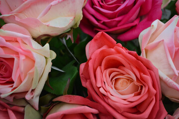 Background image of pink roses in a bouquet