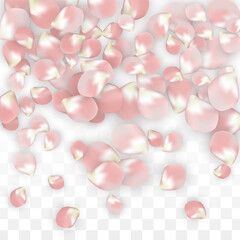Pink Vector Realistic Petals Falling on Transparent Background.  Spring Romantic Flowers Illustration. Flying Petals. Sakura Spa Design. Blossom Confetti. Design Elements for Wedding Decoration.