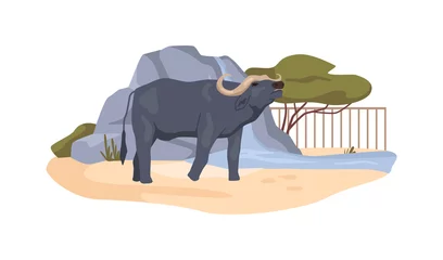 Foto op Canvas Buffalo in bioreserve, African bovine animal in menagerie, ox in zoo. Animal conservation park with habitat and ecosystem. Zoological garden and nature reserve. Flat cartoon, vector illustration © Sensvector