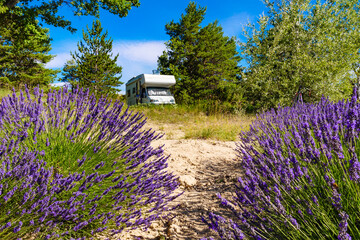 Caravan camping at lavender field, France