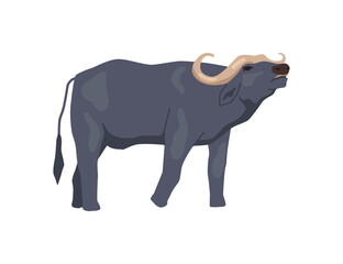 Buffalo African fauna and wildlife, isolated bovine animal with horns. Ox or bison with massive horns. Wild African mammal. Flat cartoon, vector illustration