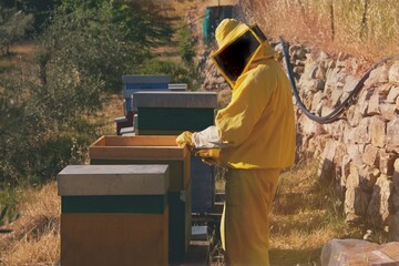 Young adult man doing apiculture as a Hobby