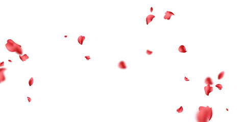 falling rose petals background vector design 3D illustration - obrazy, fototapety, plakaty