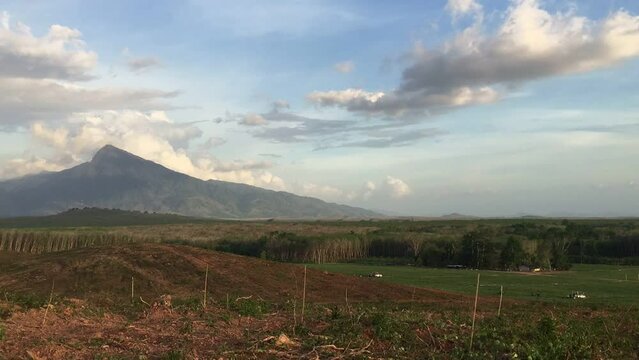 Time Lapse, Cloud moving on Rubber plantation farming area in the south of Thailand, Latex rubber, Para rubber tree garden