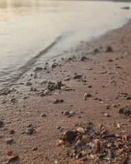 footprints on the sand