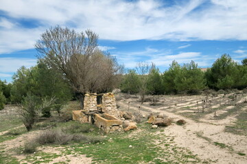 Ancien lavoir en pierre dans la campagne.