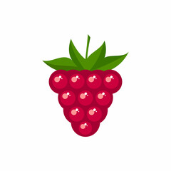 Fresh raspberry fruit vector color icon. EPS 10. Berry fruits illustration. Vegetarian menu. Vegan, healthy food. Can be used for topics like freshness, detox, nutrition, restaurant, market.