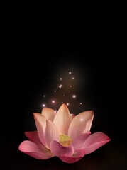 Pink lotus and floating light sparkle on black ceramic background.
