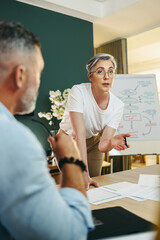 Mature businesswoman leading a meeting in a boardroom