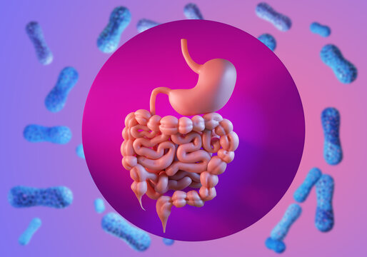 Microbiome stomach. Intestinal tract with probiotics. Gastrointestinal tract. Healthy flora stomach. Probiotic bacteria cells are blurred. Microscopic beneficial bacteria near stomach. 3d rendering.