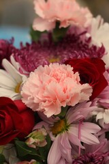 Pink carnations 