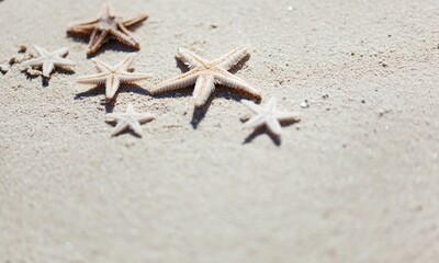 Starfish Background Very Cool