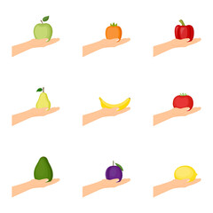 Set of hands holding fruit and vegetable. Healthy food concept, vector illustration