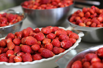 ripe fresh strawberries in bowls
