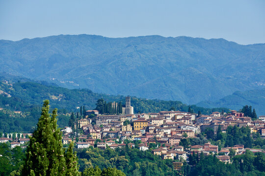 Barga