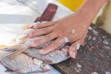 A catch of fresh fish being sorted at the local market