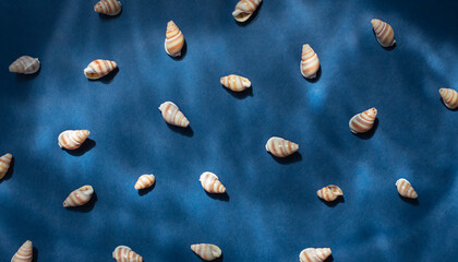 Seashells with underwater shadows on the blue background top view	
