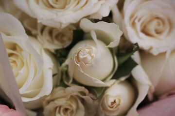 bouquet of pink roses