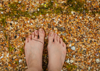 a close-up photo of women's legs standing on seashells near the sea