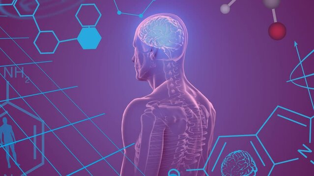 Animation of chemical formulas over human body model on purple background