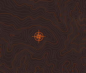 Vector colored background with topographical contour texture, isolines with compass.