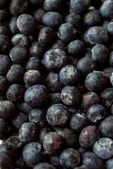 blueberries macro, berry season, summer berry season