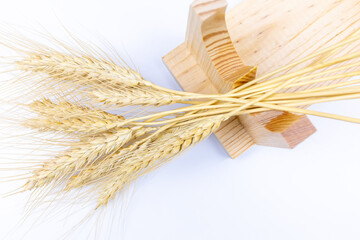 spikelets of wheat lie on a wooden stand top view