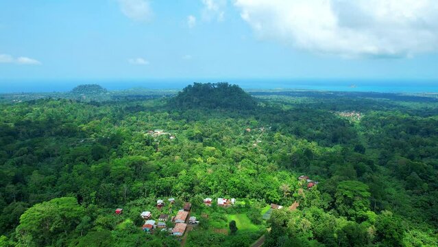 Flying backwards over forest at Sao Tome,Africa.