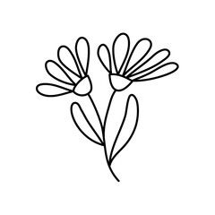 Vector simple botanical illustration of two flowers. Line artwork minimal design elements. elegant and delicate plant doodles for branding, graphic design. spring floral clip art