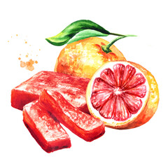Homemade Grapefruit marmalade, jam, jelly. Hand drawn watercolor illustration  isolated on white background
