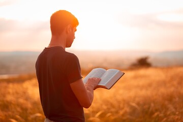 Human praying on the holy bible in a field during beautiful sunset. - obrazy, fototapety, plakaty