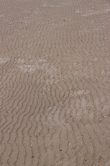 Fototapeta na wymiar wind blown sand waves on beach