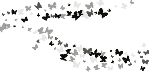 Magic black butterflies abstract vector wallpaper. Summer vivid moths. Decorative butterflies abstract children illustration. Delicate wings insects graphic design. Garden creatures.