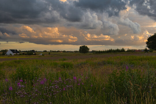 sunset over the field