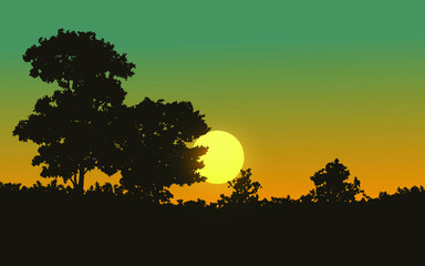 silhouette of a tree in sunset