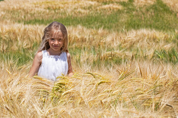 smiling little girl with white long hair in a white dress in a field with golden wheat in windy sunny weather goes towards