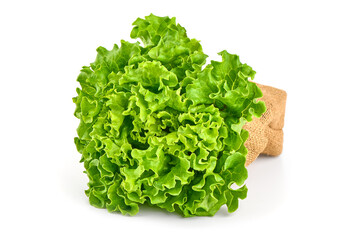 Fresh green lettuce salad leaves, isolated on white background.