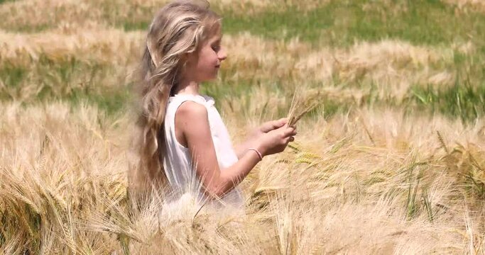happy little girl with white long hair in a white dress in a field with golden wheat in windy sunny weather