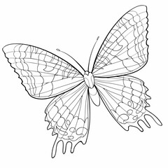 Plakat sketch, butterfly in black color with different patterns, coloring book, isolated object on white background, vector,