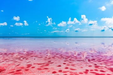 Beautiful red lagoon or salt lake with pink waters rich in minerals © BillionPhotos.com