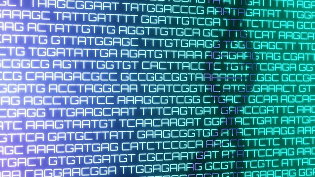 Shadow of DNA double helix strand on ATCG molecular bases